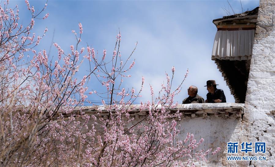 （美丽中国）（2）拉萨: 山寺桃花始盛开