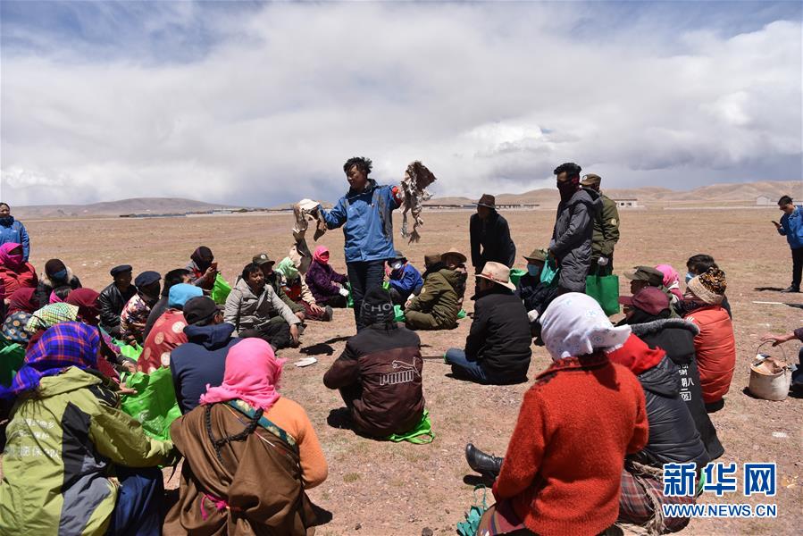 （环境）（2）西藏玛曲：捡拾垃圾保护长江源