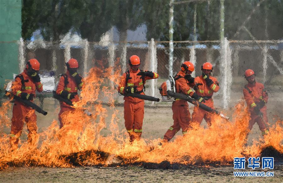 （社会）（1）内蒙古森林消防：夏季训练忙