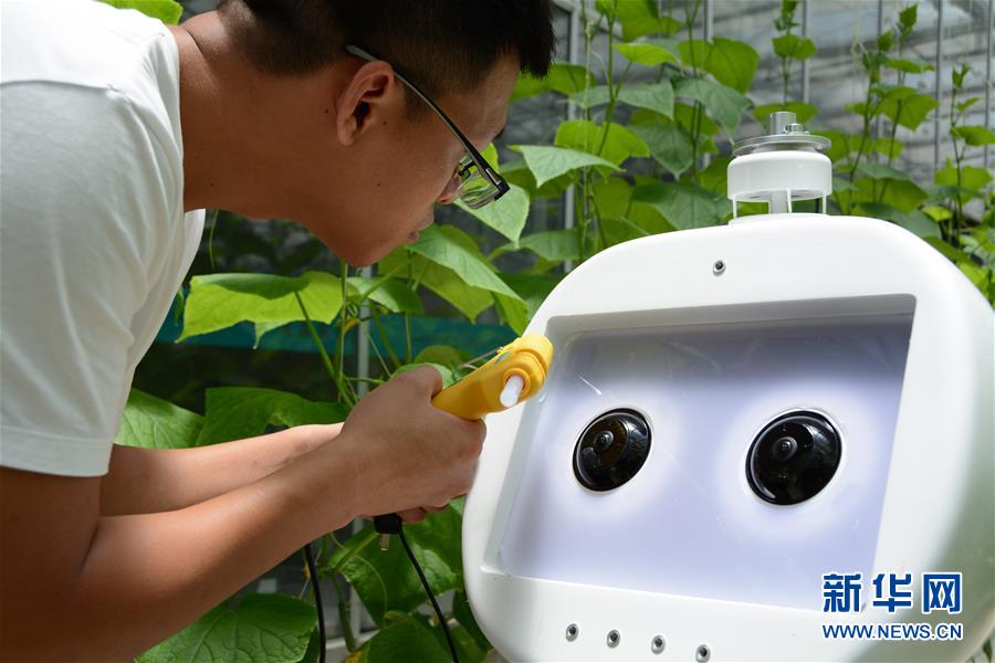 （图文互动）（2）迈向“无人农场”——福建发布人工智能农业机器人