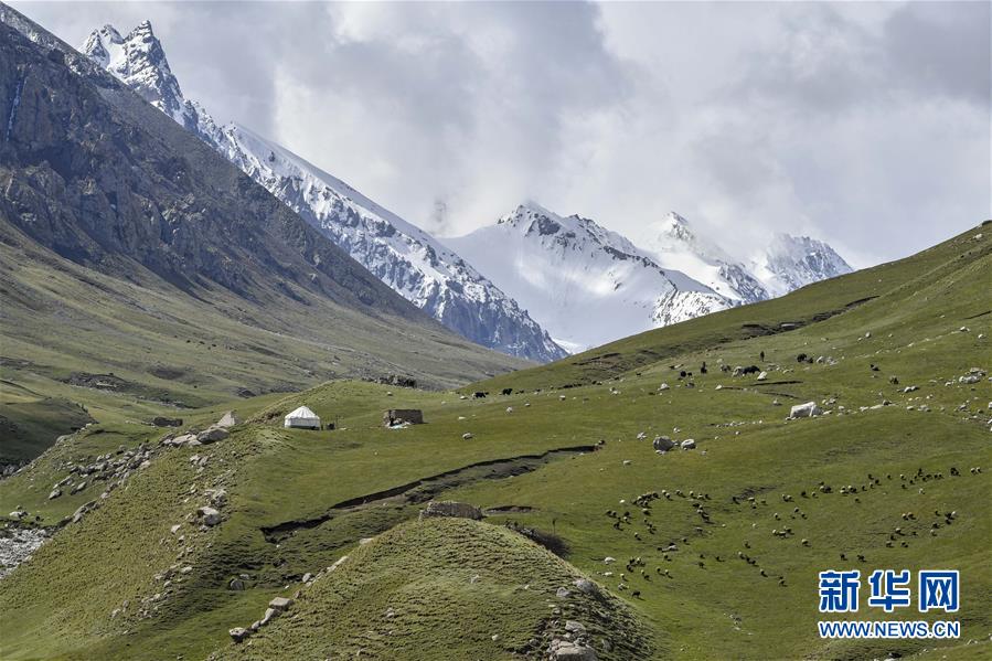 （环境）（3）新疆塔什库尔干：“云端牧场”生态美