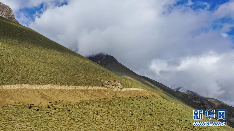 （环境）（4）新疆塔什库尔干：“云端牧场”生态美