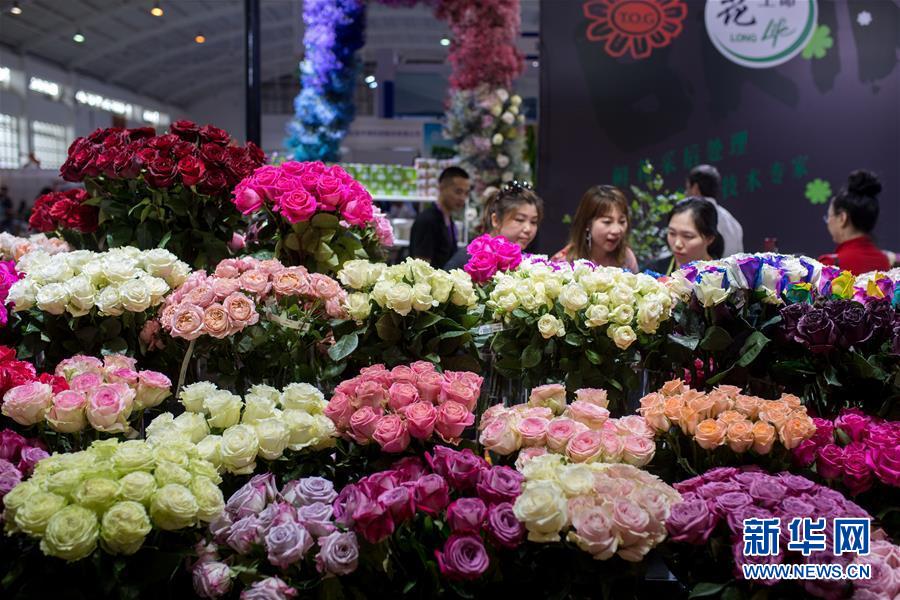 （经济）（1）第20届中国昆明国际花卉展开幕