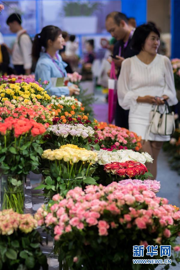 （经济）（4）第20届中国昆明国际花卉展开幕