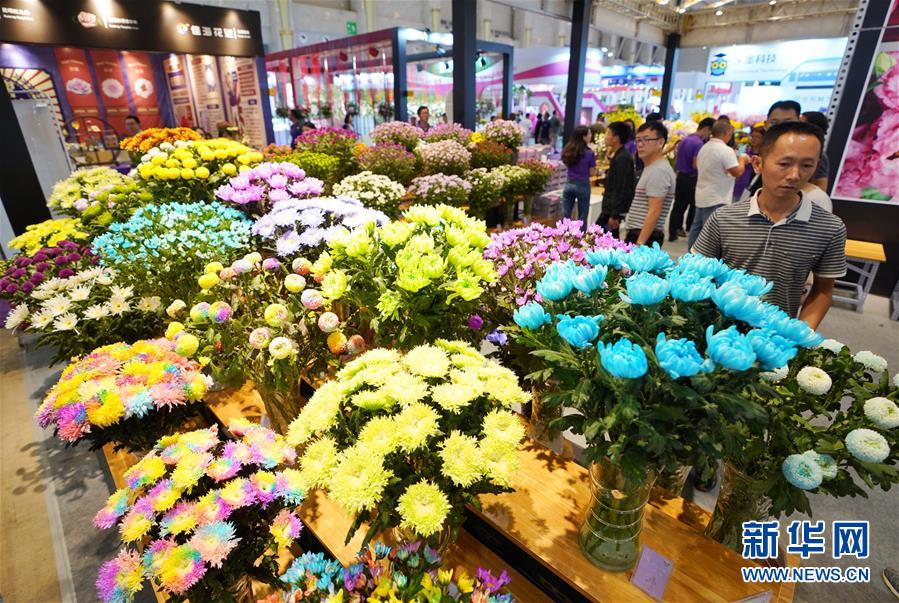 （经济）（5）第20届中国昆明国际花卉展开幕