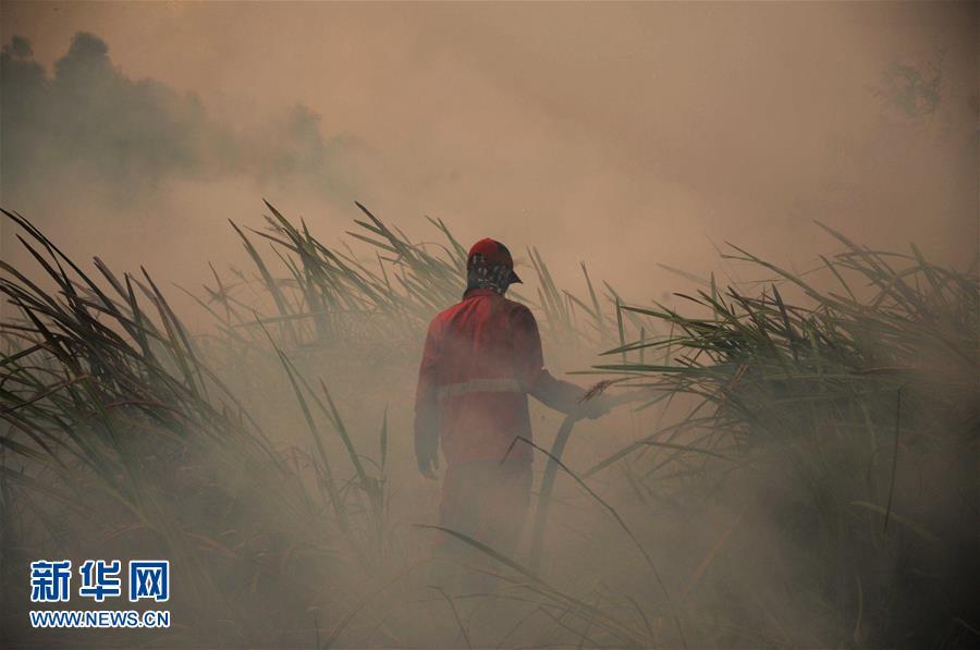 （国际）（1）印尼南苏门答腊省一处泥炭地发生火灾