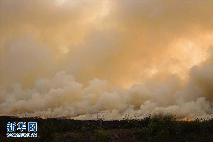 （国际）（2）印尼南苏门答腊省一处泥炭地发生火灾