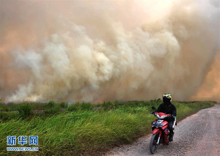 （国际）（3）印尼南苏门答腊省一处泥炭地发生火灾