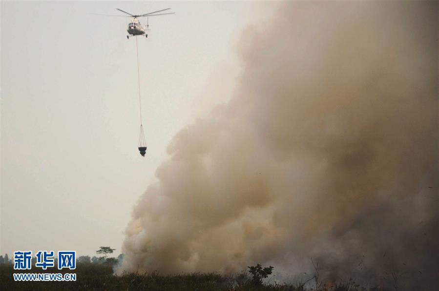 （国际）（4）印尼南苏门答腊省一处泥炭地发生火灾