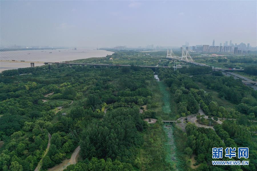 （环境）（5）南京：江边湿地绿意浓