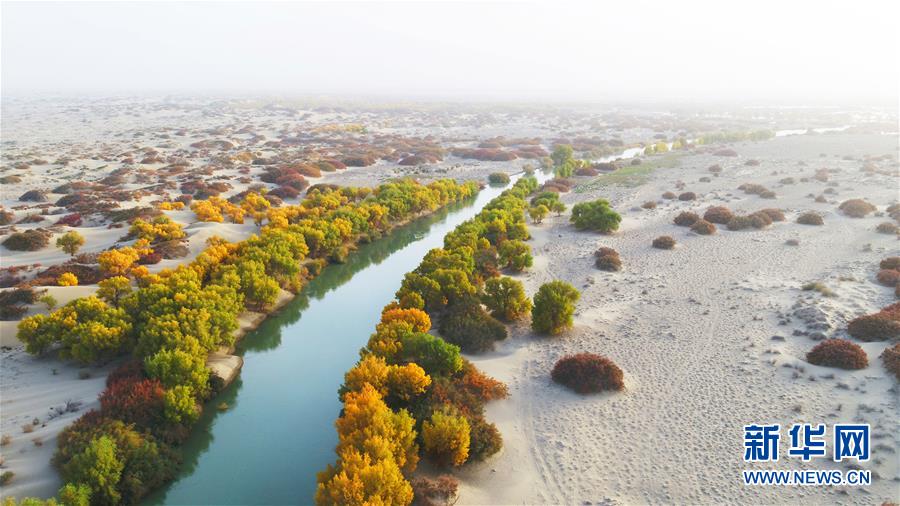 （图文互动）（5）回荡在南疆大地的绿色颂歌——新疆塔里木河流域综合治理综述