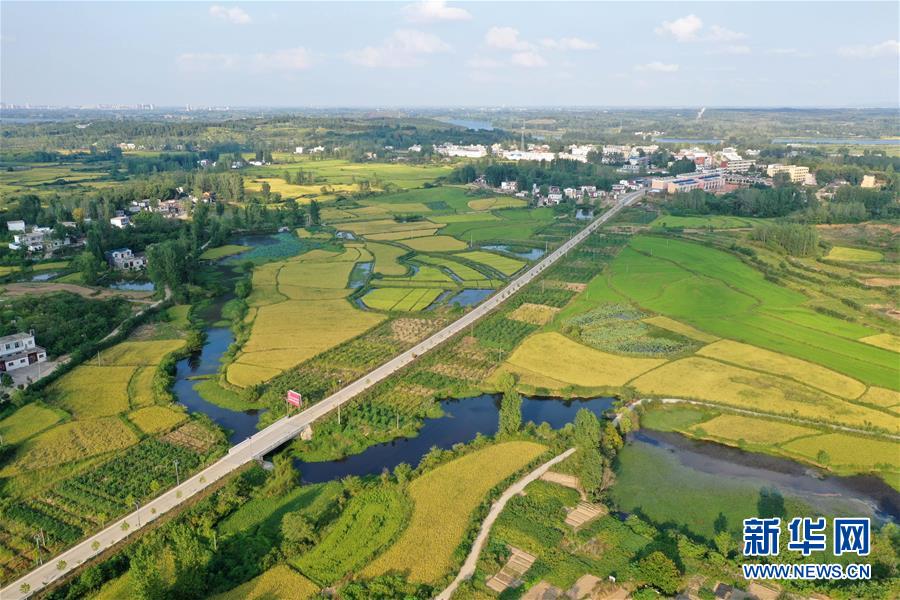 （社会）（1）河南信阳：“多彩田园”铺就绿色发展之路