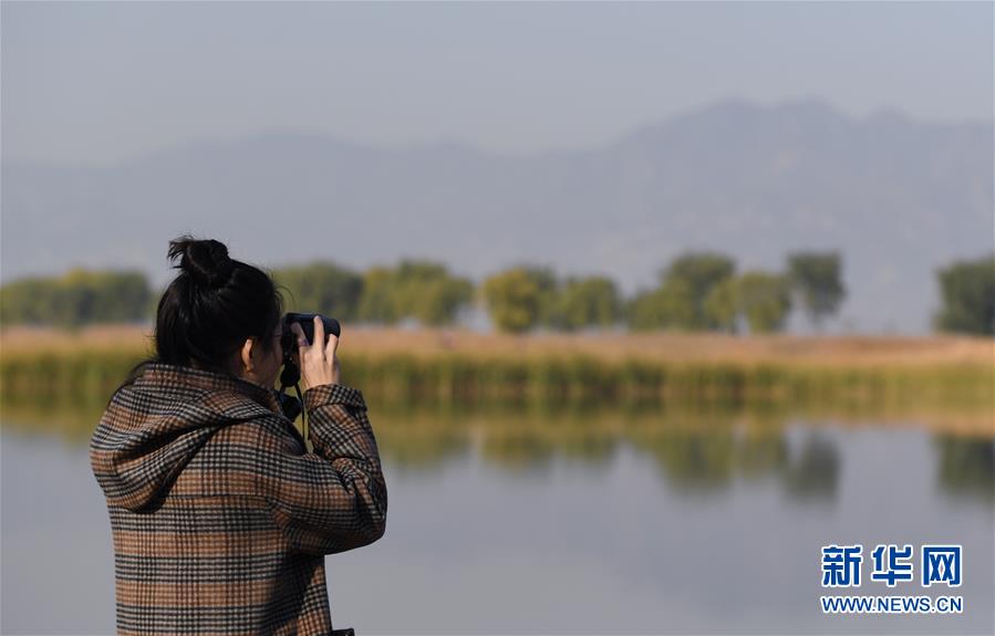 （环境）（1）自然观察节走进北京野鸭湖