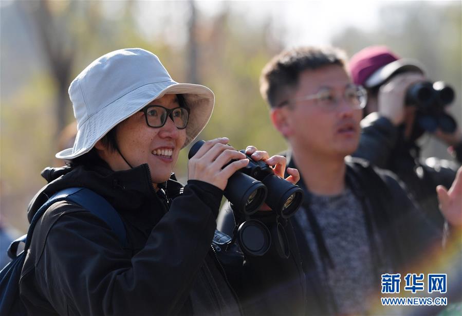 （环境）（2）自然观察节走进北京野鸭湖