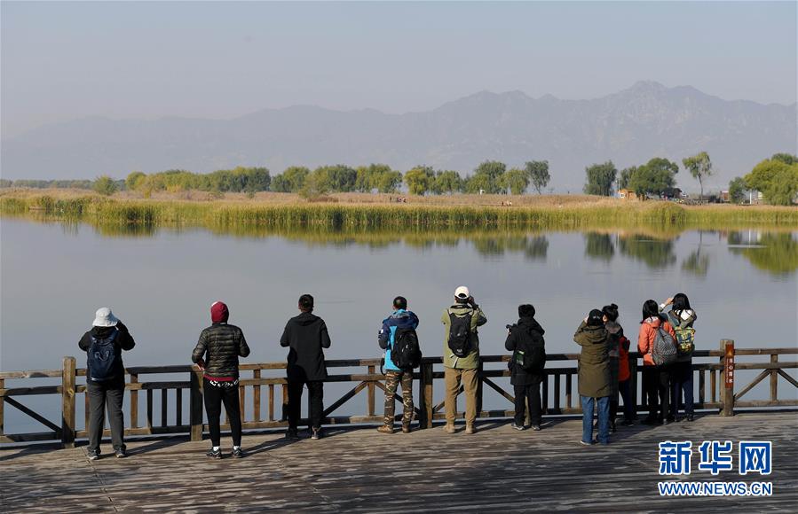 （环境）（4）自然观察节走进北京野鸭湖