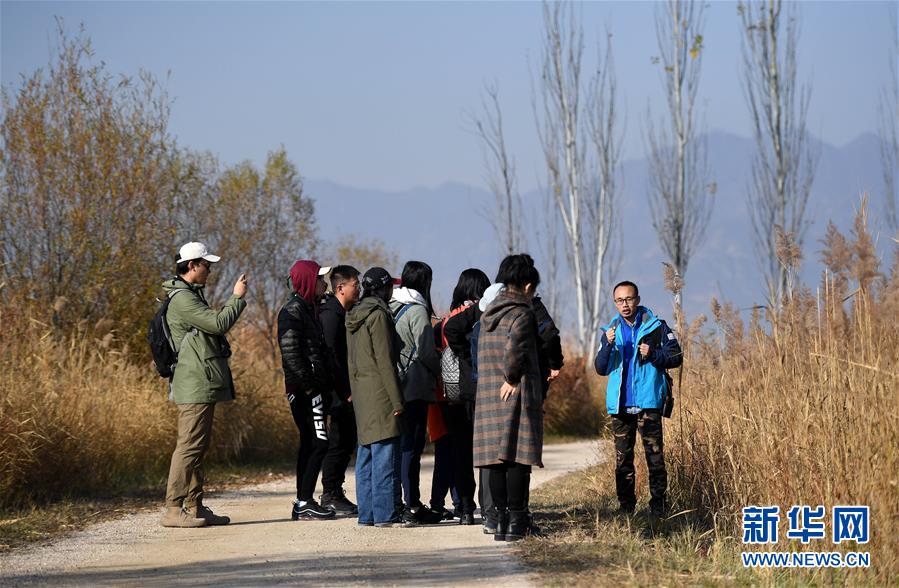 （环境）（5）自然观察节走进北京野鸭湖