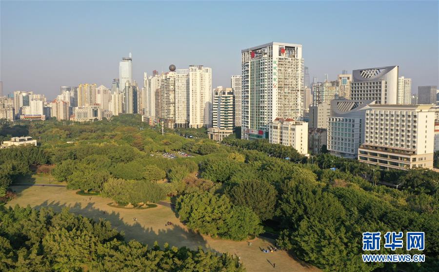 （环境）（1）广西南宁：初冬依旧好风貌 半城绿树半城楼