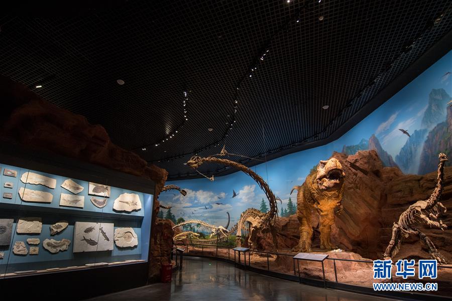 （社会）（6）云南澄江化石地自然博物馆基本建成