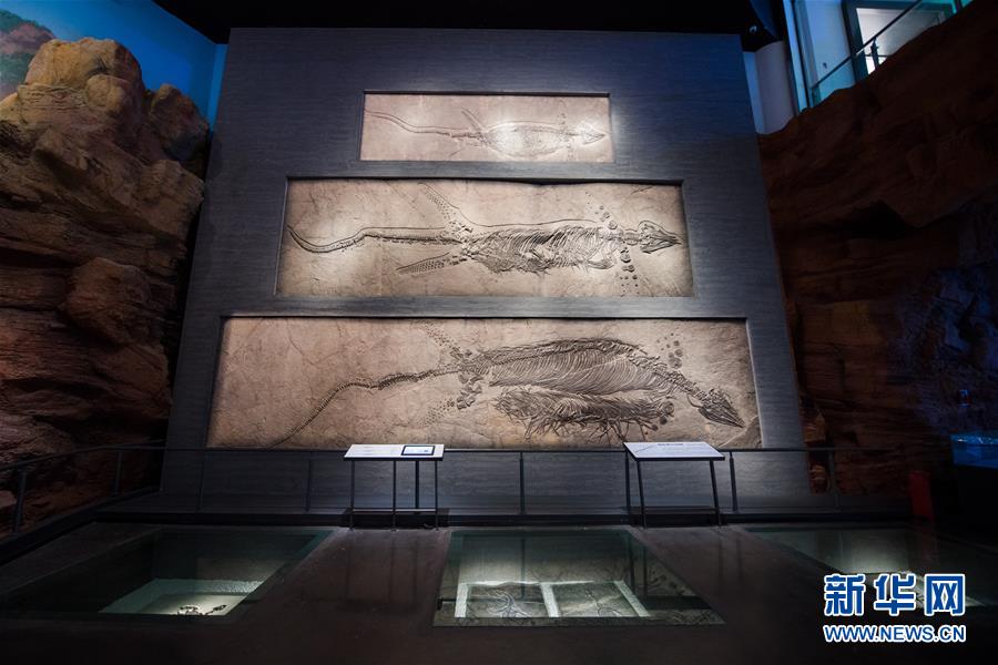 （社会）（2）云南澄江化石地自然博物馆基本建成