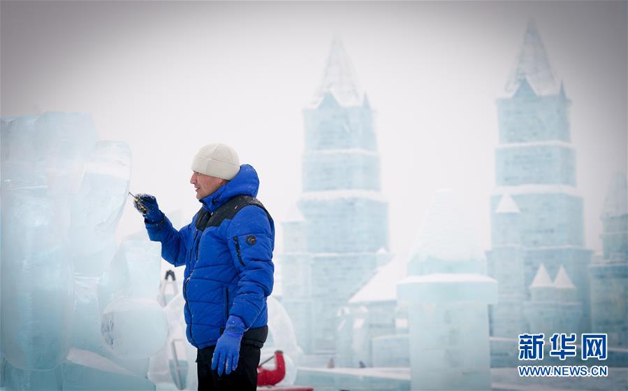 （社会）（1）哈尔滨国际冰雕比赛：“芳容”初现