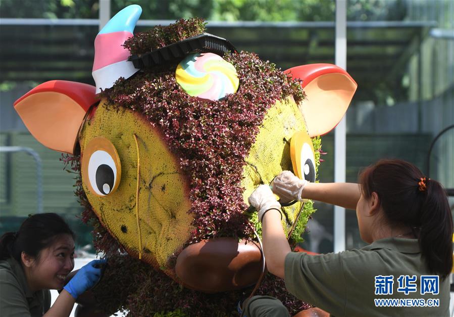 （国际）（2）新加坡滨海湾花园准备农历新年装饰