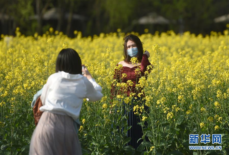 （环境）（2）杭州：油菜花开春意浓