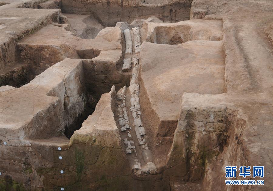 （图文互动）（3）河南淮阳发现中国最早的城市排水系统 