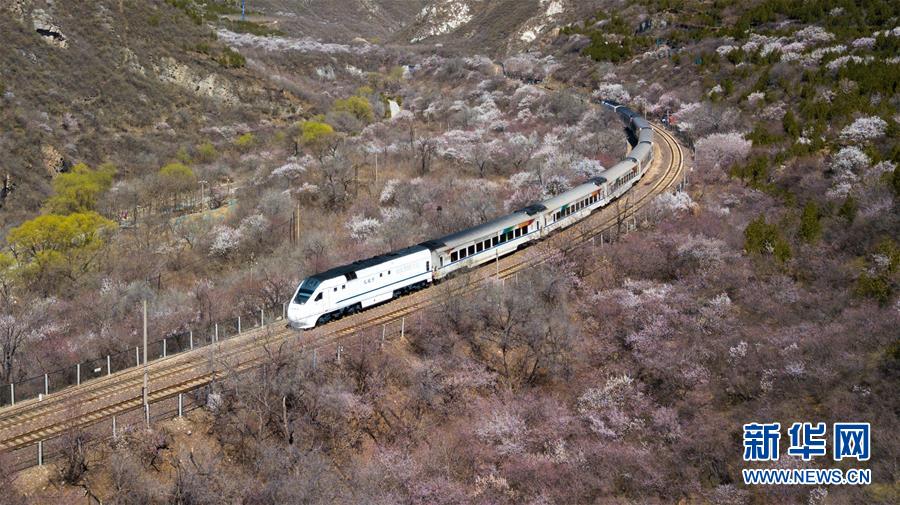 （社会）（6）北京：开在春天的列车
