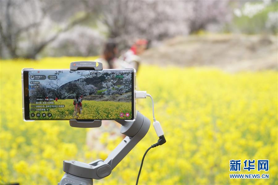 （图文互动）（5）高原花儿开，静待游客来——西藏林芝首次启用5G直播呈现桃花美景 