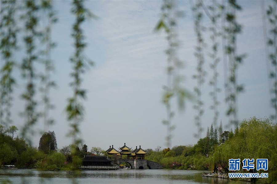 （春季美丽生态）（1）江苏扬州：瘦西湖春意浓