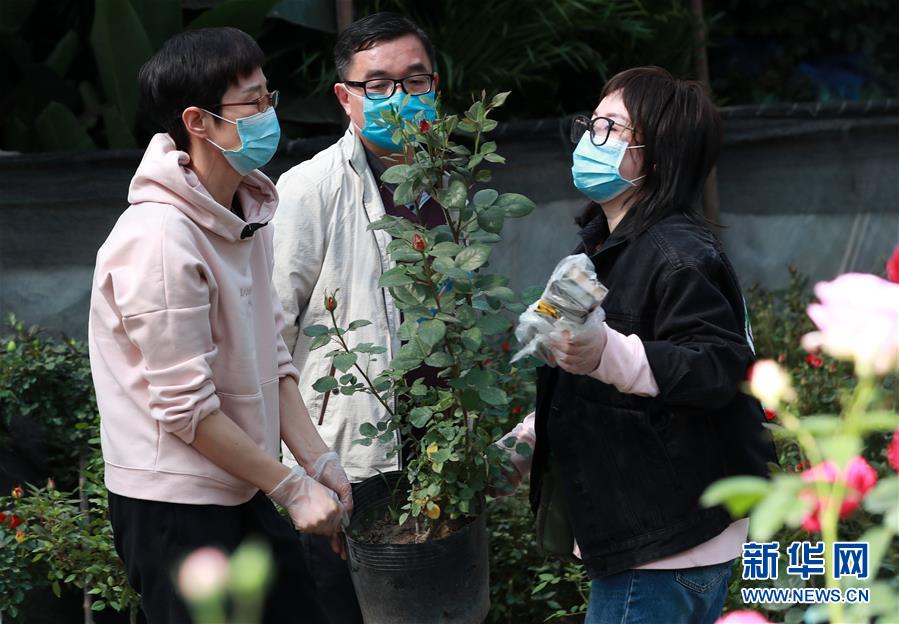 #（社会）（2）武汉：花卉市场人气渐旺