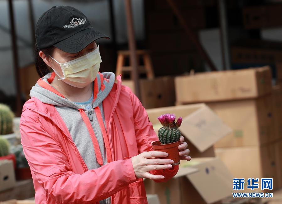 #（社会）（4）武汉：花卉市场人气渐旺
