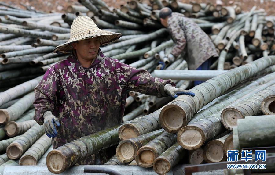 （聚焦复工复产）（1）广西融安：竹制品外贸企业赶订单忙生产