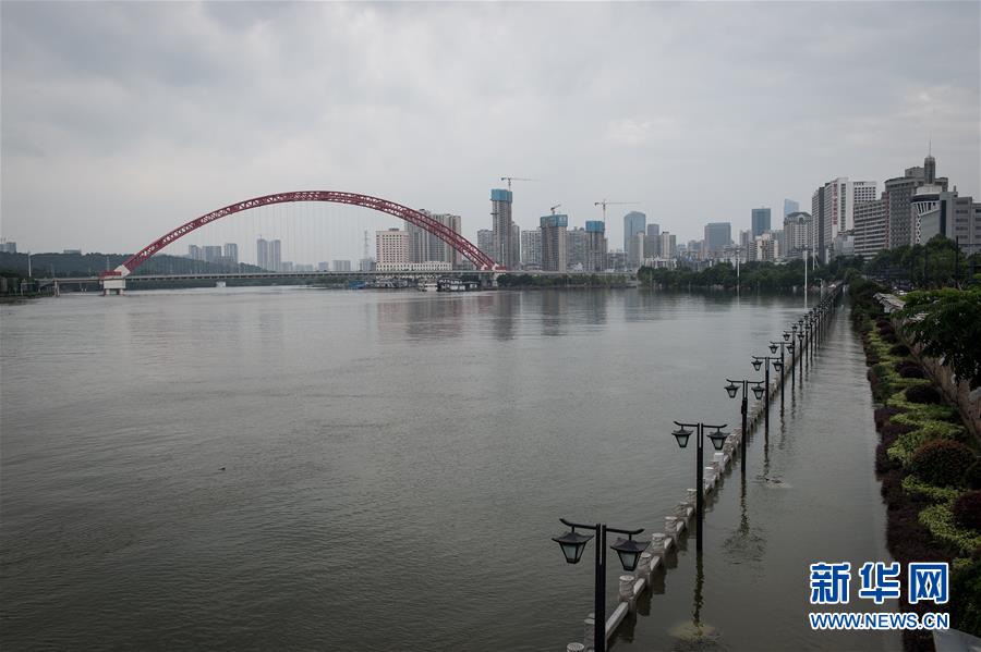 （防汛抗洪）（4）长江汉口站水位持续上涨