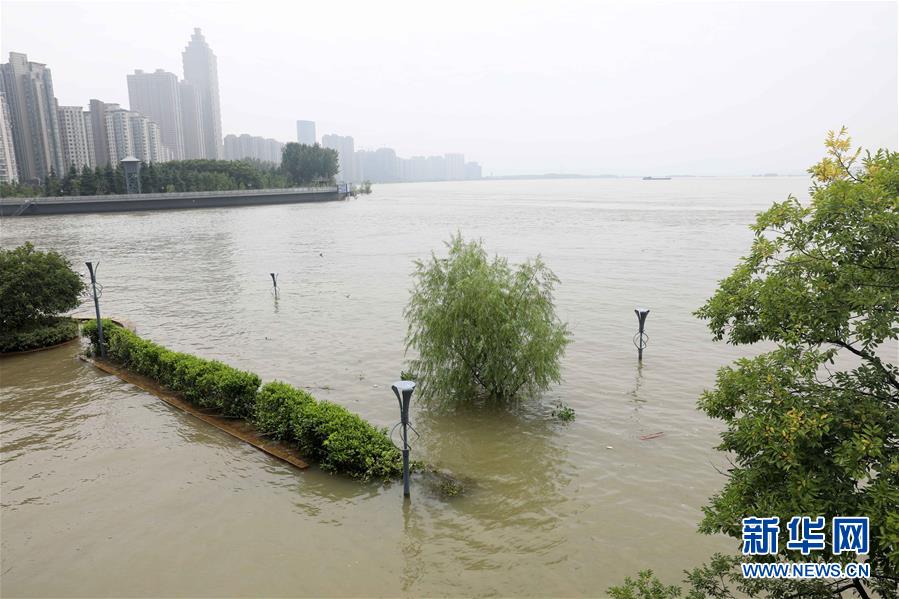（防汛抗洪）（4）长江芜湖段持续高水位