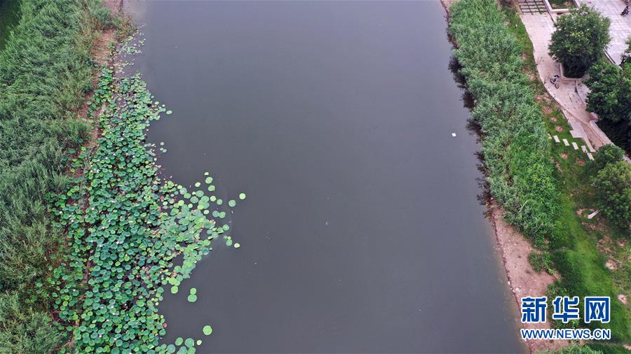 （环境）（3）天津武清：湿地生态美