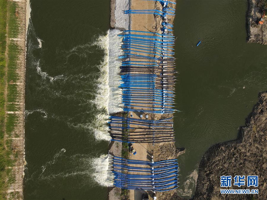 （防汛抗洪）（3）安徽：十八联圩生态湿地蓄洪区开机排涝