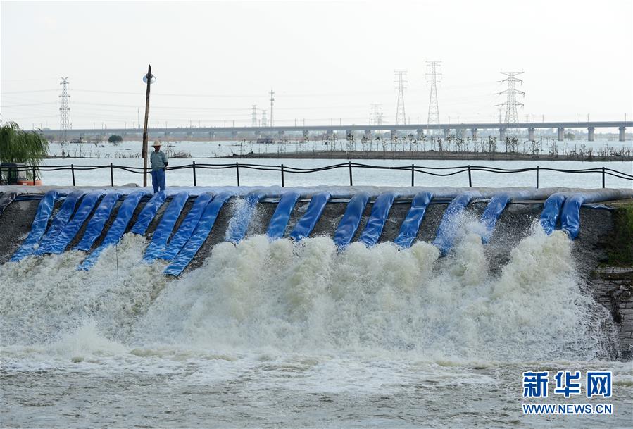 （防汛抗洪）（6）安徽：十八联圩生态湿地蓄洪区开机排涝