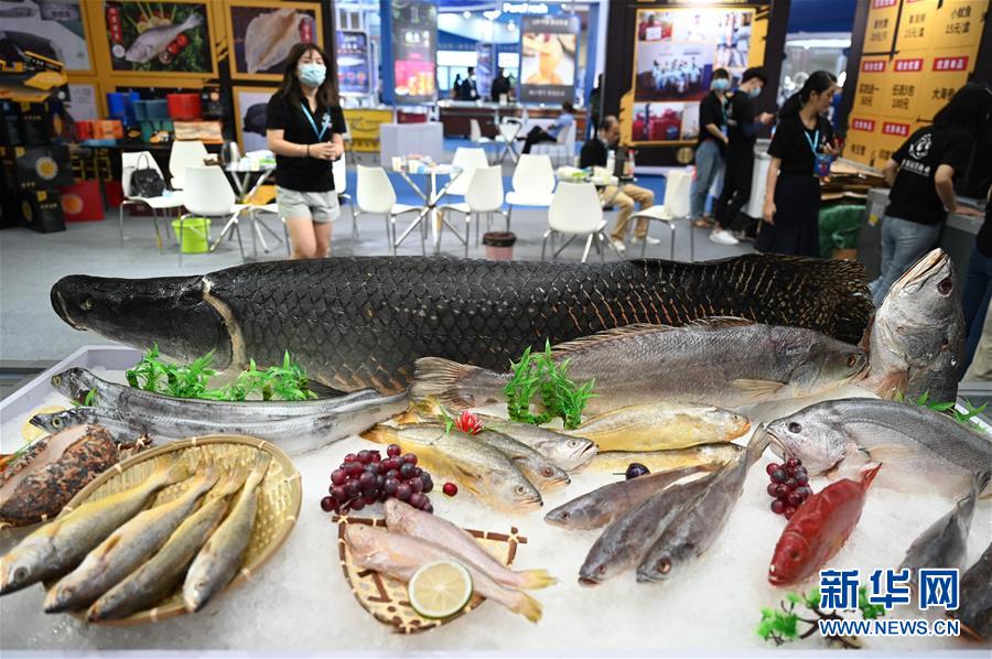 （经济）（2）2020海峡（福州）渔业周·中国（福州）国际渔业博览会开幕