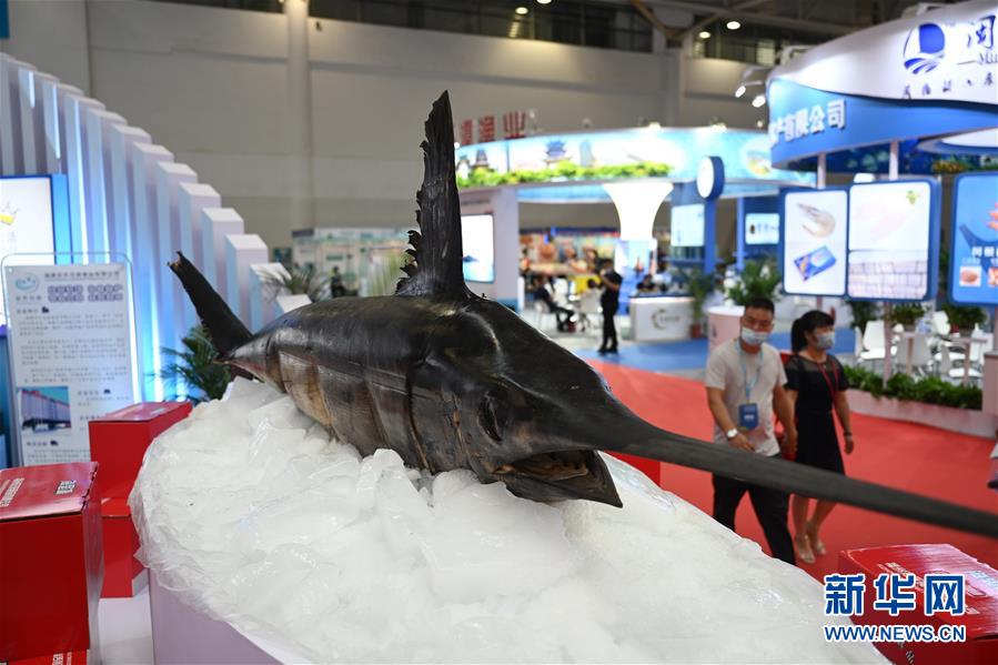 （经济）（3）2020海峡（福州）渔业周·中国（福州）国际渔业博览会开幕