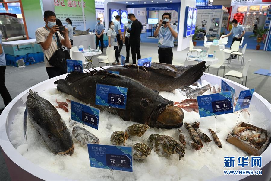 （经济）（6）2020海峡（福州）渔业周·中国（福州）国际渔业博览会开幕
