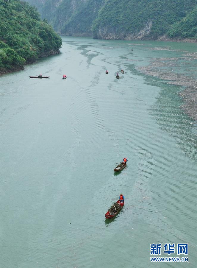 #（环境）（1）湖南张家界：清理漂浮物 守护美丽河道