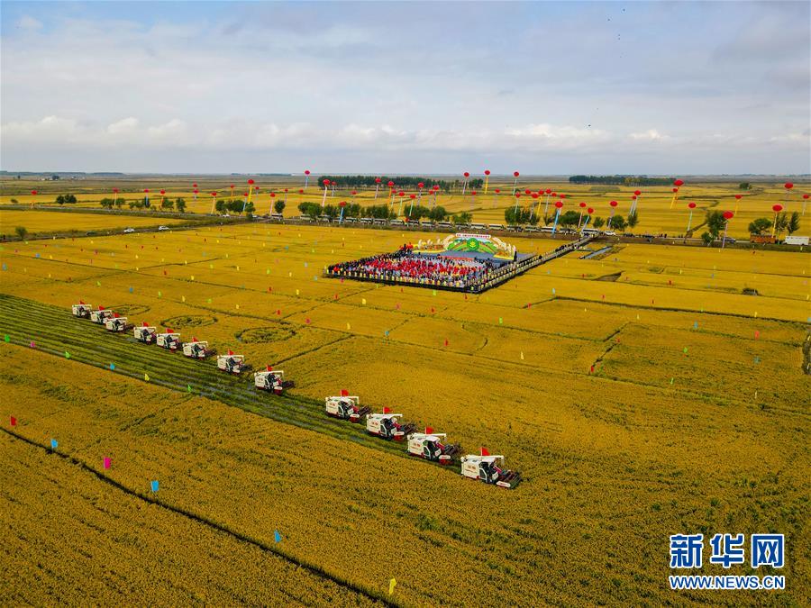 （中国农民丰收节）（1）多彩活动 欢庆丰收