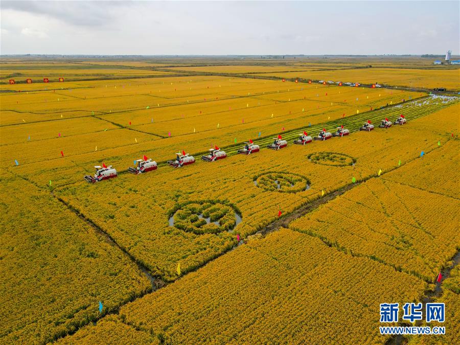 （中国农民丰收节）（6）多彩活动 欢庆丰收