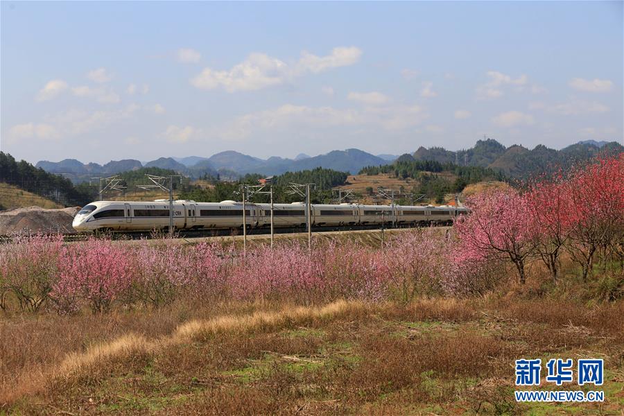 #（坐着高铁看中国）（6）贵州雷山：高铁助力苗寨旅游