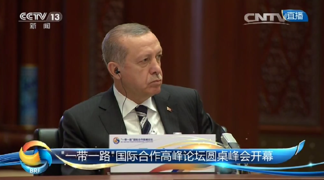 会议现场的土耳其总统埃尔多安。