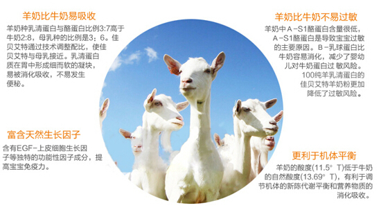 易吸收的羊奶粉,配方是关键