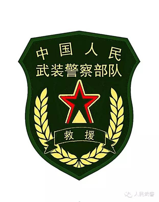 权威发布!武警部队统一更换新式标志服饰