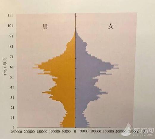 日本人口金字塔图_日本的人口金字塔图(2)