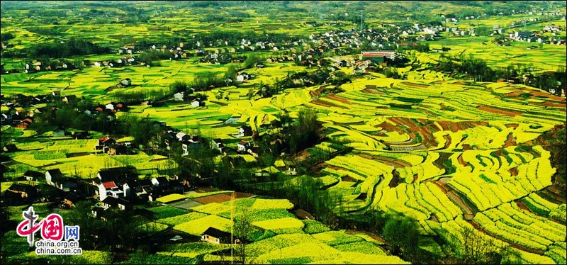 陕西洋县百里花海:不仅有那片桃花(图-中青旅游文化
